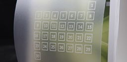 2007 Arvi calendar